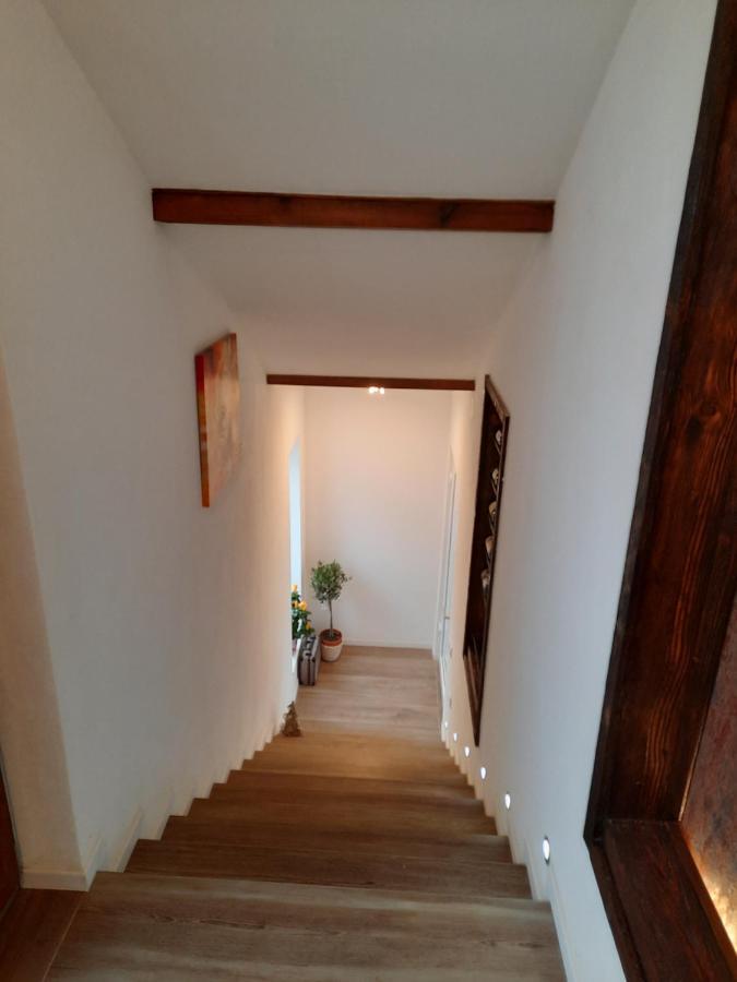 Apartments 'Niko' Waldsee  ภายนอก รูปภาพ